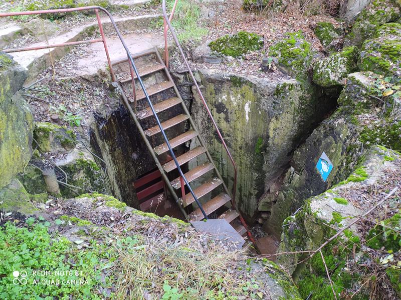 Zdjęcie 11
